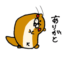 Kawauso kun sticker #10994376