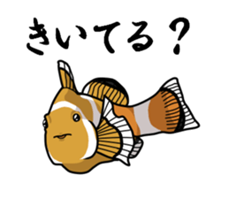 bossy animals sticker #10994878