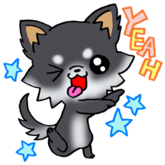 White and black and  cute puppy!