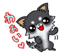 White and black and  cute puppy! sticker #10996024