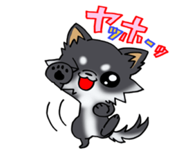 White and black and  cute puppy! sticker #10996025