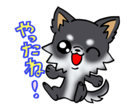 White and black and  cute puppy! sticker #10996026