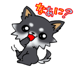 White and black and  cute puppy! sticker #10996029