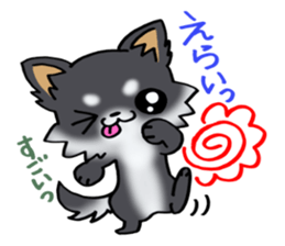 White and black and  cute puppy! sticker #10996030