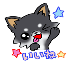 White and black and  cute puppy! sticker #10996031