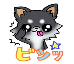 White and black and  cute puppy! sticker #10996036