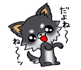 White and black and  cute puppy! sticker #10996038