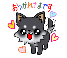 White and black and  cute puppy! sticker #10996044