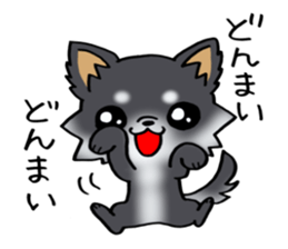 White and black and  cute puppy! sticker #10996045