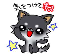 White and black and  cute puppy! sticker #10996046