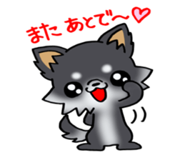 White and black and  cute puppy! sticker #10996048