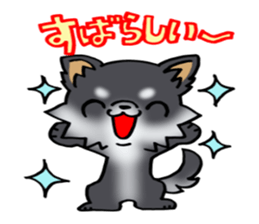 White and black and  cute puppy! sticker #10996052