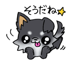 White and black and  cute puppy! sticker #10996053