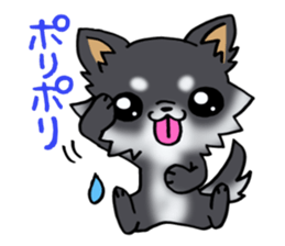 White and black and  cute puppy! sticker #10996058