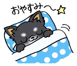 White and black and  cute puppy! sticker #10996063