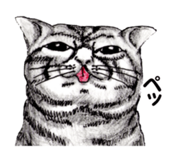 Real NYANKO sticker #10996625