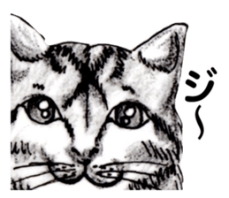 Real NYANKO sticker #10996626