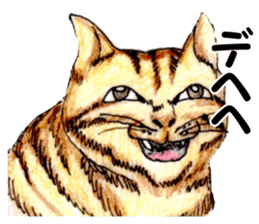 Real NYANKO sticker #10996633
