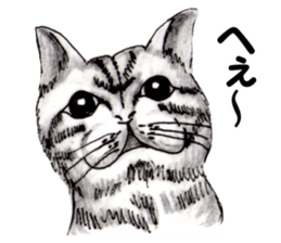 Real NYANKO sticker #10996642