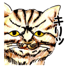 Real NYANKO sticker #10996644