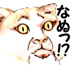 Real NYANKO sticker #10996649