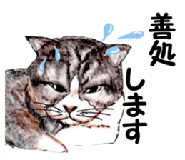 Real NYANKO sticker #10996655