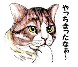 Real NYANKO sticker #10996660