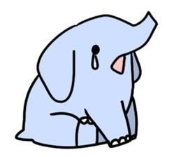 Various cute elephants sticker #10997260