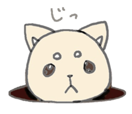 little white fox sticker #10997414