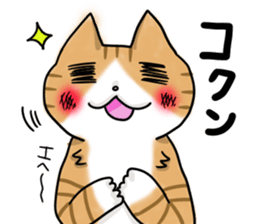 akacat sticker #10998666
