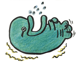 Napoleon fish sticker #10999722