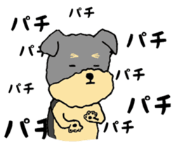 The name of this dog is ANKO Part2 sticker #11000761