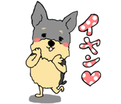 The name of this dog is ANKO Part2 sticker #11000770