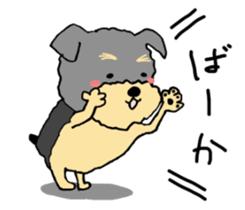 The name of this dog is ANKO Part2 sticker #11000773