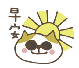 Cat H's health management! sticker #11001152