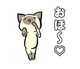 Siamese cat! sticker #11002081
