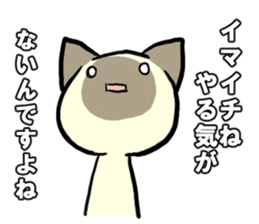 Siamese cat! sticker #11002100