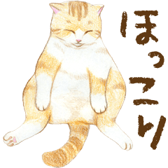 Warm and Fluffy Cats