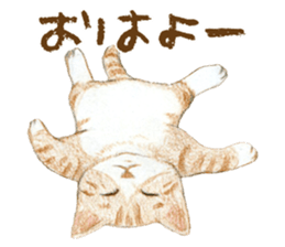 Warm and Fluffy Cats sticker #11003824