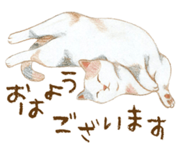 Warm and Fluffy Cats sticker #11003825