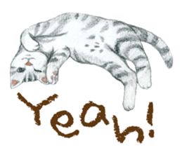 Warm and Fluffy Cats sticker #11003831