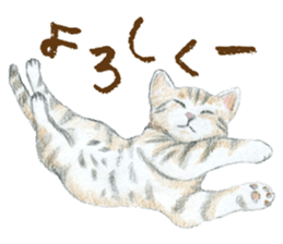 Warm and Fluffy Cats sticker #11003832