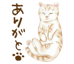 Warm and Fluffy Cats sticker #11003834