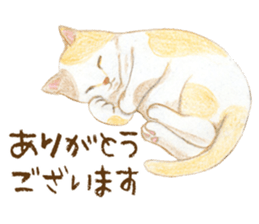Warm and Fluffy Cats sticker #11003835