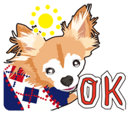 Exciting Long Chihuahua sticker #11005507