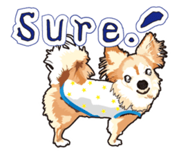 Exciting Long Chihuahua sticker #11005524