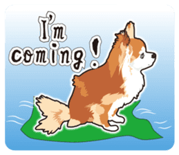 Exciting Long Chihuahua sticker #11005525