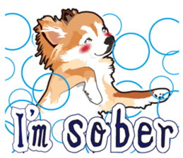 Exciting Long Chihuahua sticker #11005530