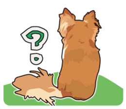 Exciting Long Chihuahua sticker #11005535