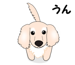 Gabu Gabu Dachshund "Dakuhachirou". sticker #11005614